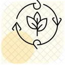 Organic Crop Rotation Organic Crop Icon