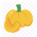 Organic diet, doodle icon of pumpkin  Icon