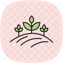 Organic Farm Field Organic Farm Icon