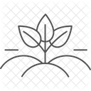 Organic Fields Organic Fields Icon