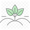 Organic Fields Organic Fields Icon