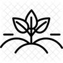 Organic Fields Organic Fields Icon