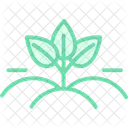 Organic Fields Organic Fields Icon
