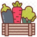 Organic Food Fiber Food Vegetables Icon