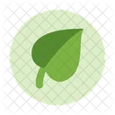 Organic Food Nutrition Food Icon