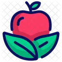 Organic Food Healthy Food Fruit Icon