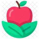 Organic Food Healthy Food Fruit Icon