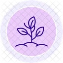 Organic Herb Patch Organic Herb Icon