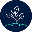 Organic Herb Patch Organic Herb Icon