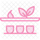 Organic Herb Shelf Organic Herb Icon