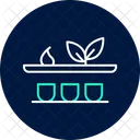 Organic Herb Shelf Organic Herb Icon
