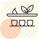 Organic Herb Shelf Organic Herb Icon