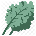 Healthy Vegetable Organic Icon