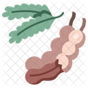 Fruit Vegan Food Icon