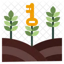 Organic Keyword Optimisation Seo Icon