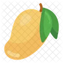 Organic Mango Healthy Food Organic Fruit Icon