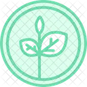 Organic Patch Organic Patch Icon