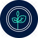 Organic Patch Organic Patch Icon