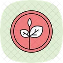 Organic Patch Icon