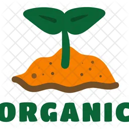 Organic Plant  Icon