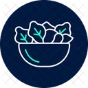 Organic Salad Mix Organic Salad Icon