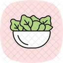 Organic Salad Mix Organic Salad Icon
