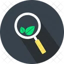 Organic Search Magnifying Glass Organic Search Icon