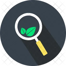 Organic-search  Icon