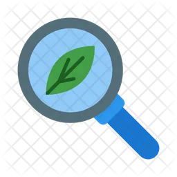 Organic Search  Icon