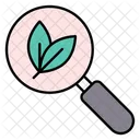 Organic Search Search Eco Search Icon