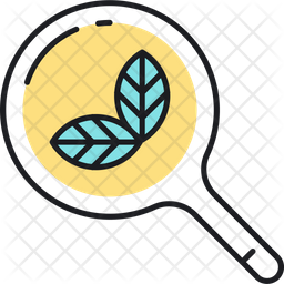 Organic search Icon