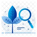 Organic Search  Icon