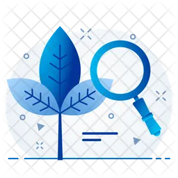 Organic Search  Icon