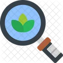 Organic Search Leaf Leaves Icon