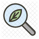 Search Eco Search Research Icon