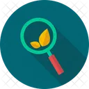 Organic Search Search Eco Search Icon