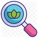 Organic Search Icon