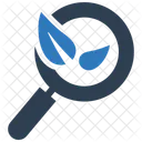 Eco Search Leaf Magnifier Icon