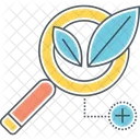 Organic Search Icon