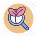 Organic Search Organic Search Icon