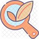 Morganic Search Organic Search Ecology Research Icon