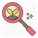 Organic Search Icon