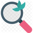Search Organic Search Magnifying Glass Icon