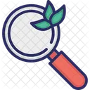 Search Organic Search Magnifying Glass Icon