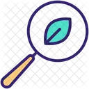 Organic Search Icon