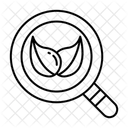 Organic Traffic Icon