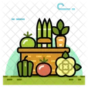 Organic vegetables  Icon