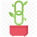 Organisch Link Werbung Symbol