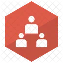 Organization Network Team Icon