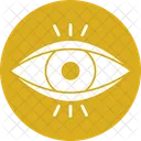 Organo Ocular Parte Del Cuerpo Ojo Icono